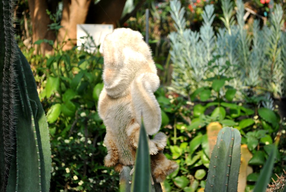 Asan Botanical Garden