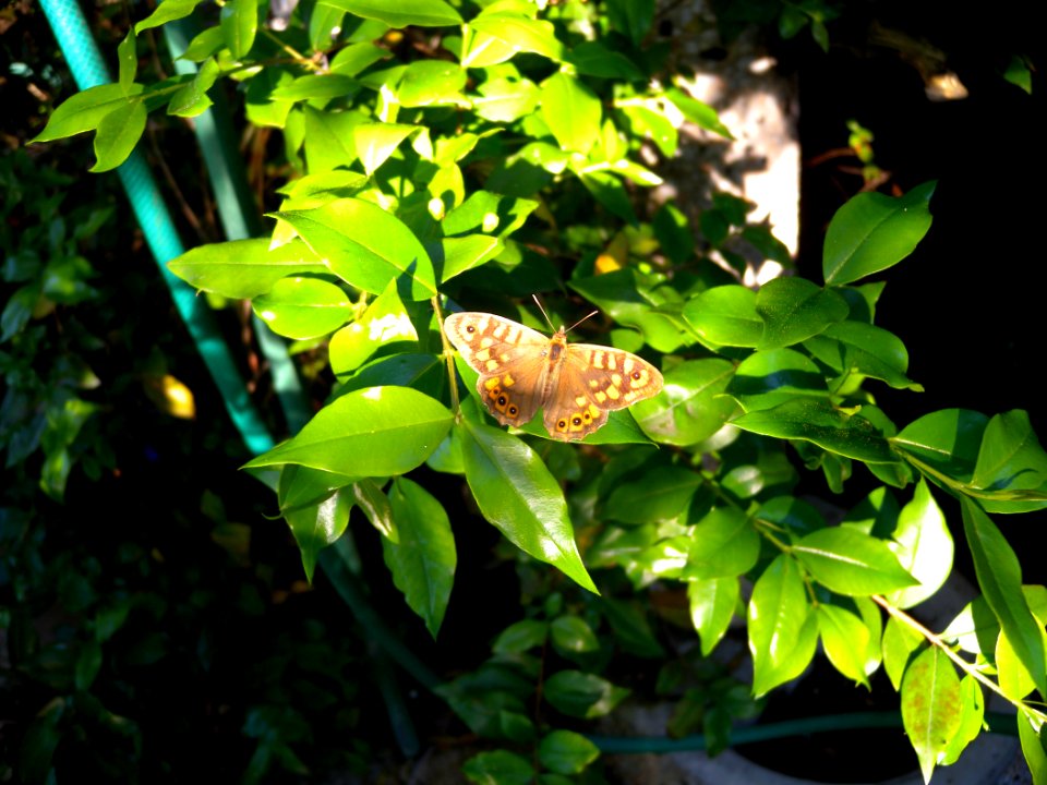 2012 05 12 s.margherita