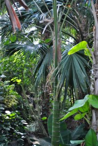 Asan Botanical Garden