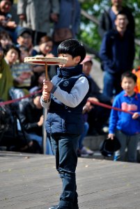 Namsan Park Spring 2016