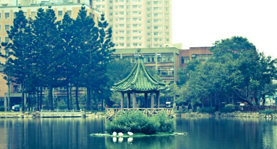Drunken Moon Lake @ NTU