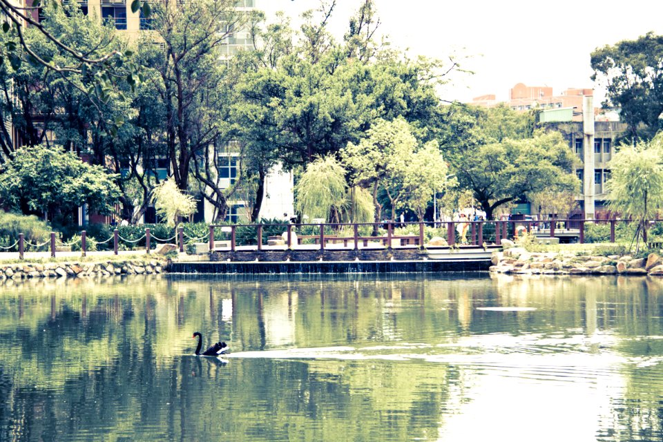 Drunken Moon Lake @ NTU
