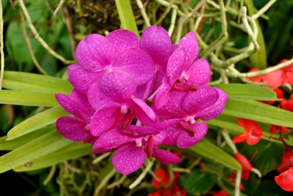Asan Botanical Garden
