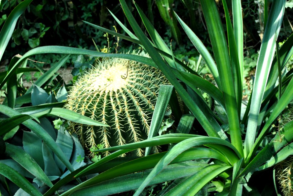 Asan Botanical Garden