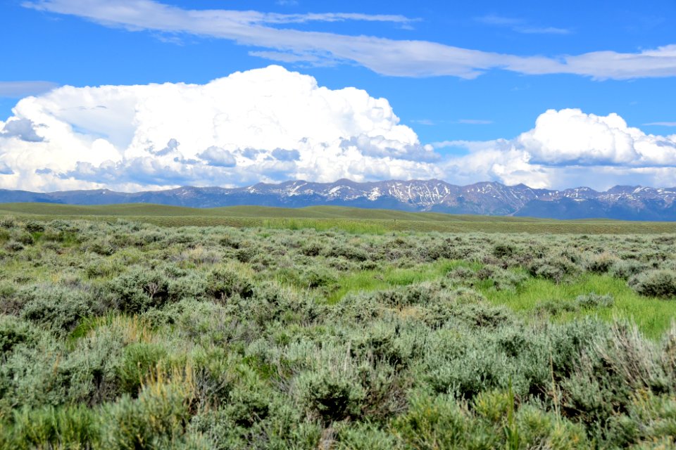 Sage steppe at Arapaho National Wildlife Refuge photo