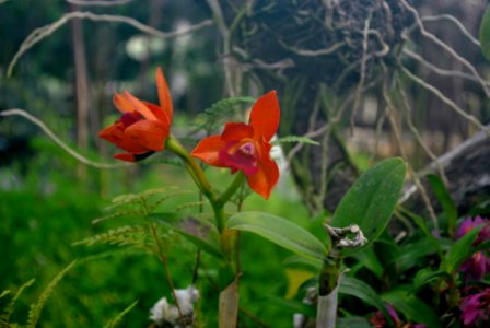 Asan Botanical Garden