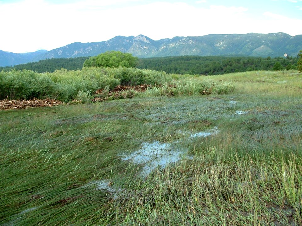 Black Forest Creek - US Air Force Academy