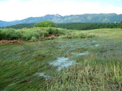 Black Forest Creek - US Air Force Academy