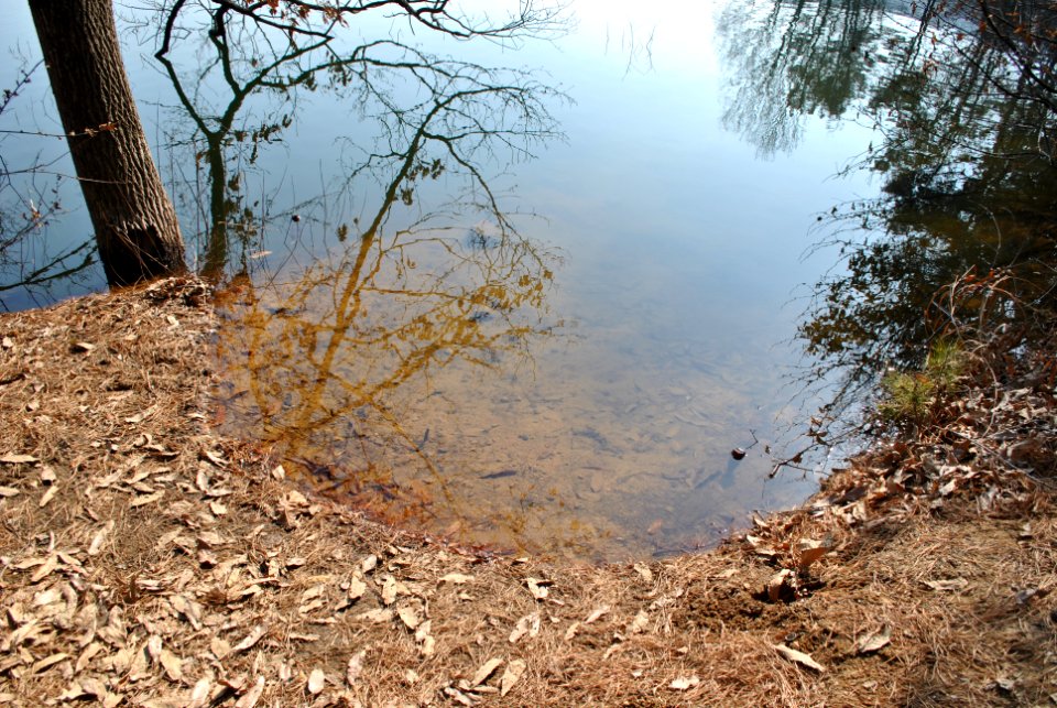 Madun Reservoir