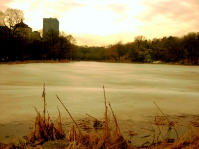 Harlem Meer photo