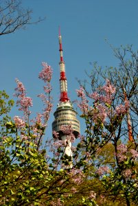 Namsan Park Spring 2016