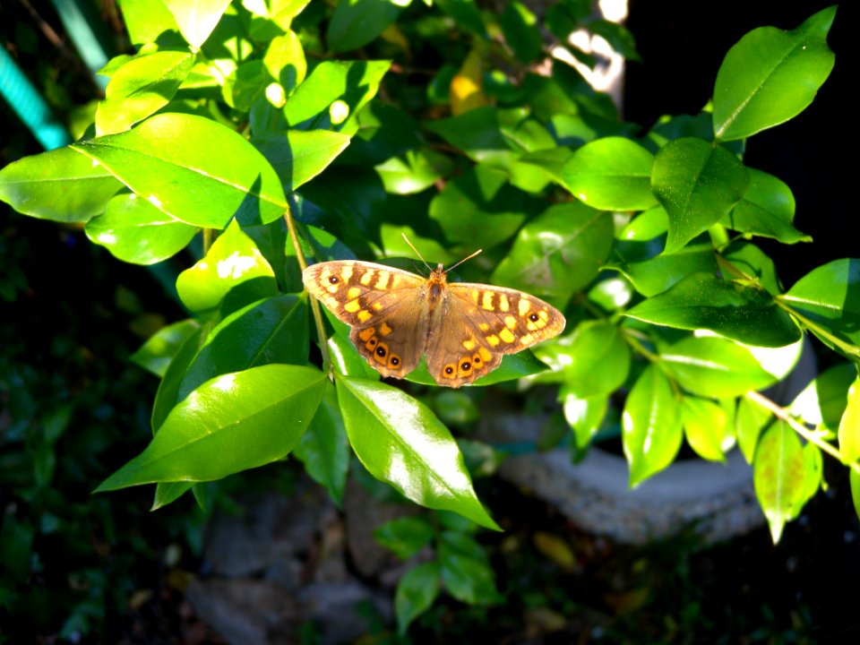 2012 05 12 s.margherita