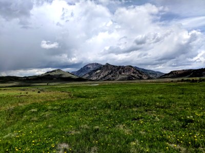 Wetland Restoration