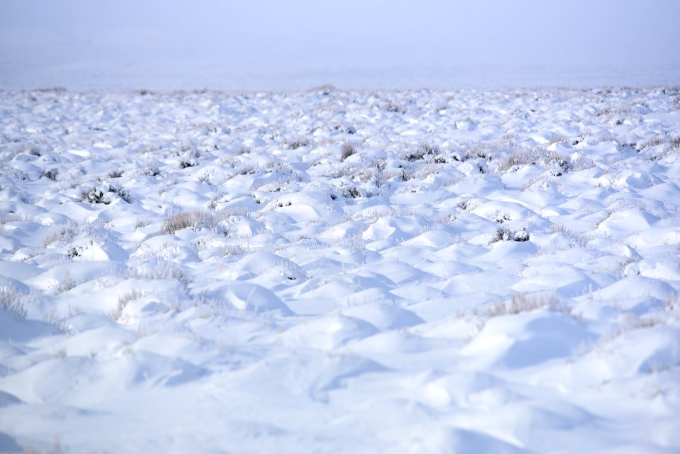 Seedskadee National Wildlife Refuge