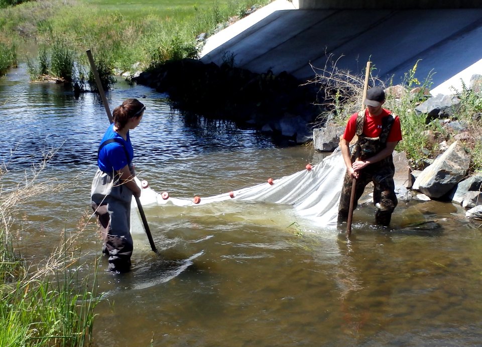 Fishery survey with SCA interns Kyle and Emily