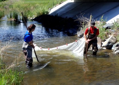 Fishery survey with SCA interns Kyle and Emily