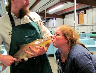 Puckering up for a razorback sucker