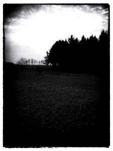 WP 20160228 194 - Kopie (2)