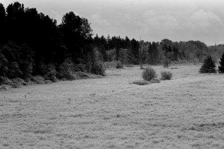 Deer lake park
