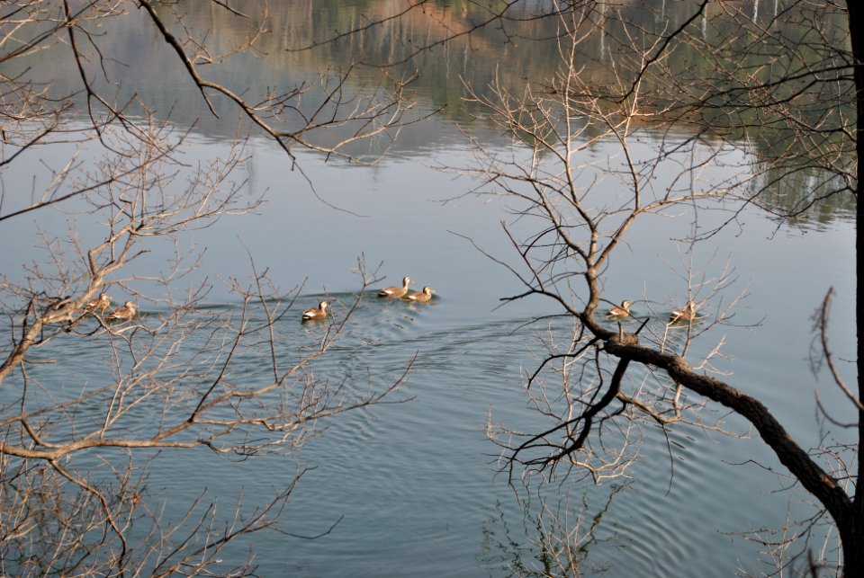 Madun Reservoir