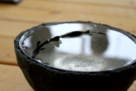 心如明鏡台，時時勤拂拭 "本來無一物，何處惹塵埃"