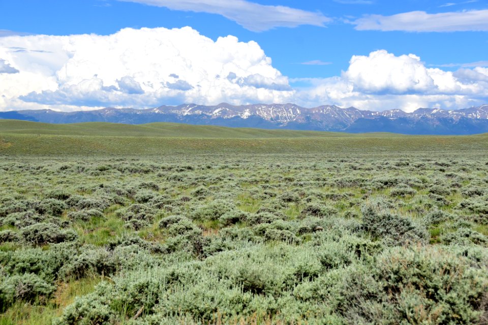 Sage steppe at Arapaho National Wildlife Refuge