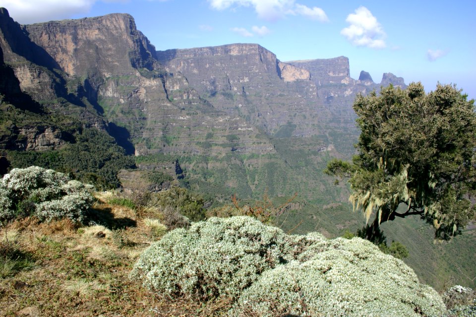 Simien Mountains National Park, Ethiopian Highlands