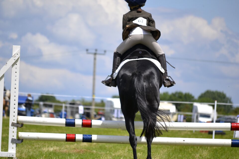 Equestrian horse riding motion