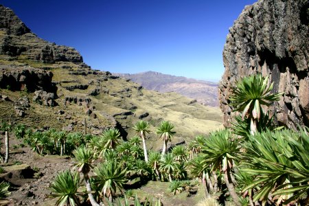 Simien Mountains National Park, Ethiopian Highlands photo