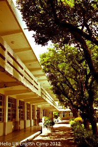 Primary school 7