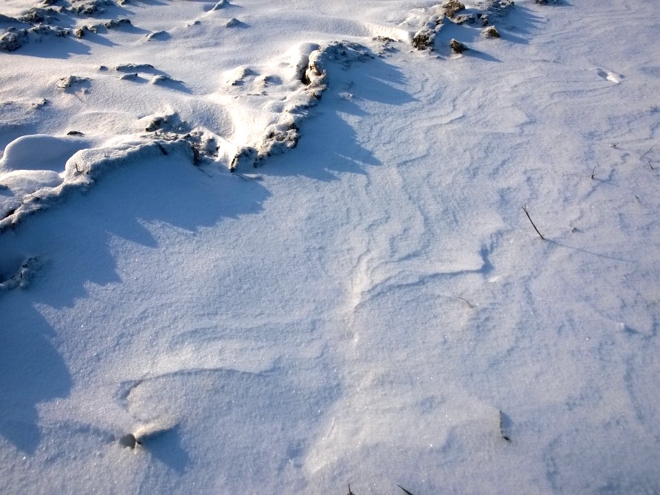 Schnee auf Acker. Und Sonne.