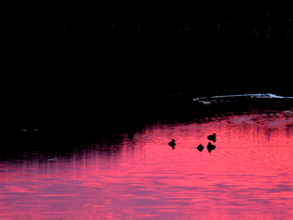 Seedskadee National Wildlife Refuge