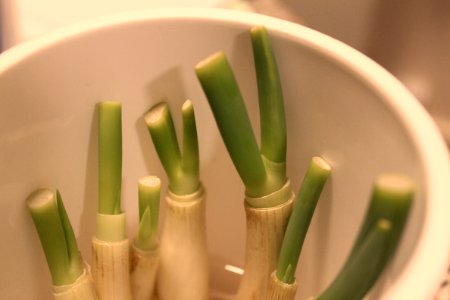 Spring onion with ^^y pose