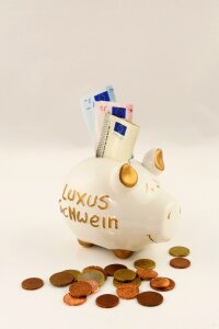 Finance piggy bank save