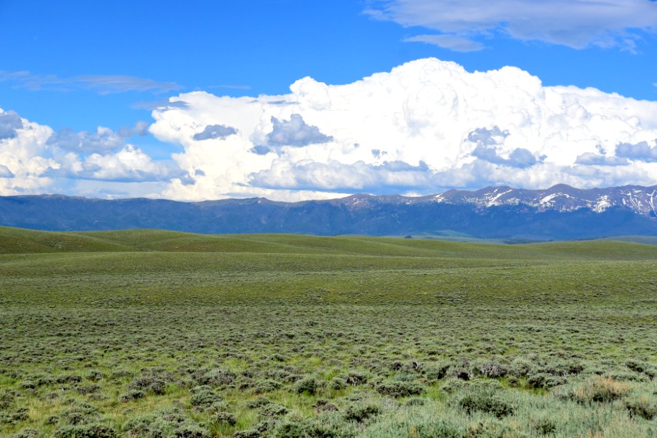Sage steppe at Arapaho National Wildlife Refuge