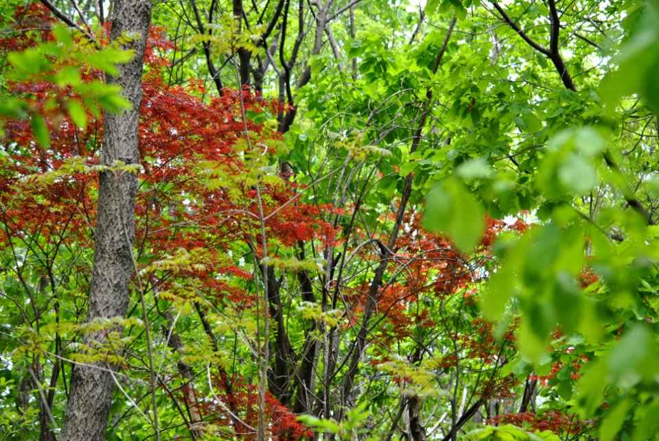 Bukhansan National Park
