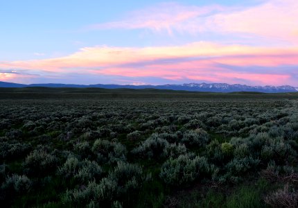 Sage steppe at sunset on Arapaho National Wildlife Refuge