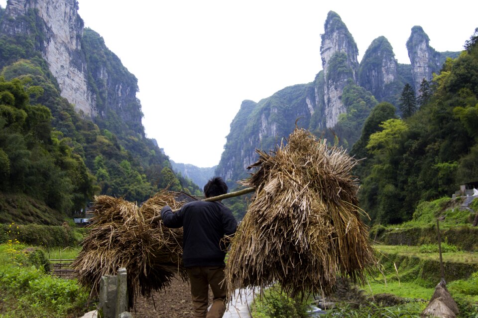 Carring carrying china