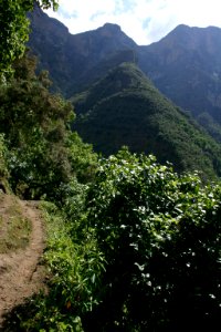 trail, Simien Mountains National Park, Ethiopian Highlands photo