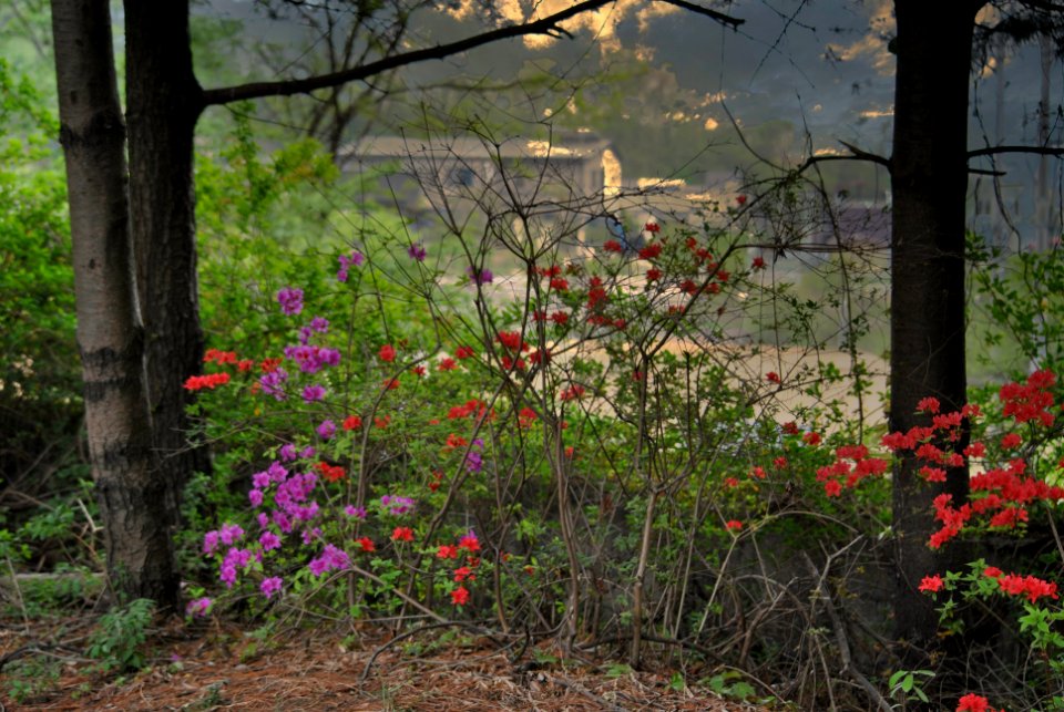 Bukhansan National Park