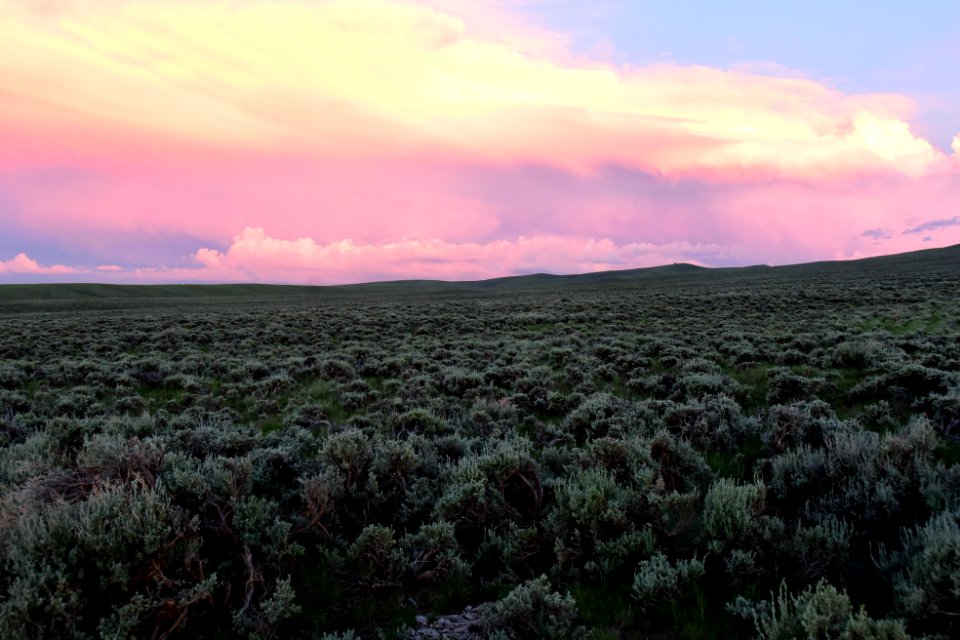 Sage steppe at sunset on Arapaho National Wildlife Refuge