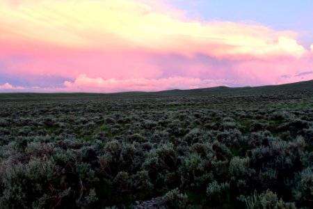 Sage steppe at sunset on Arapaho National Wildlife Refuge photo