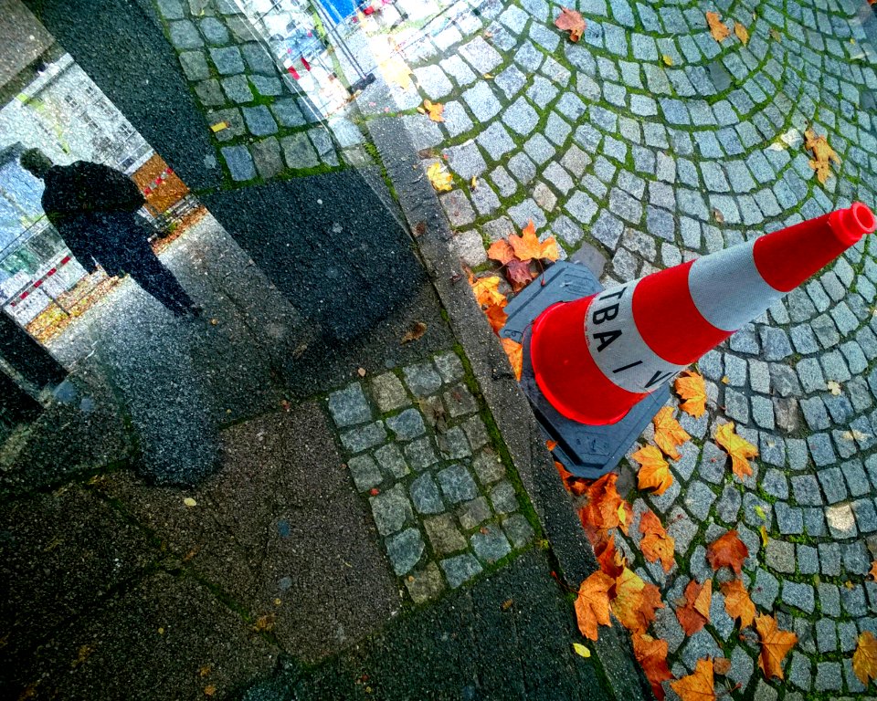 Ignoranz