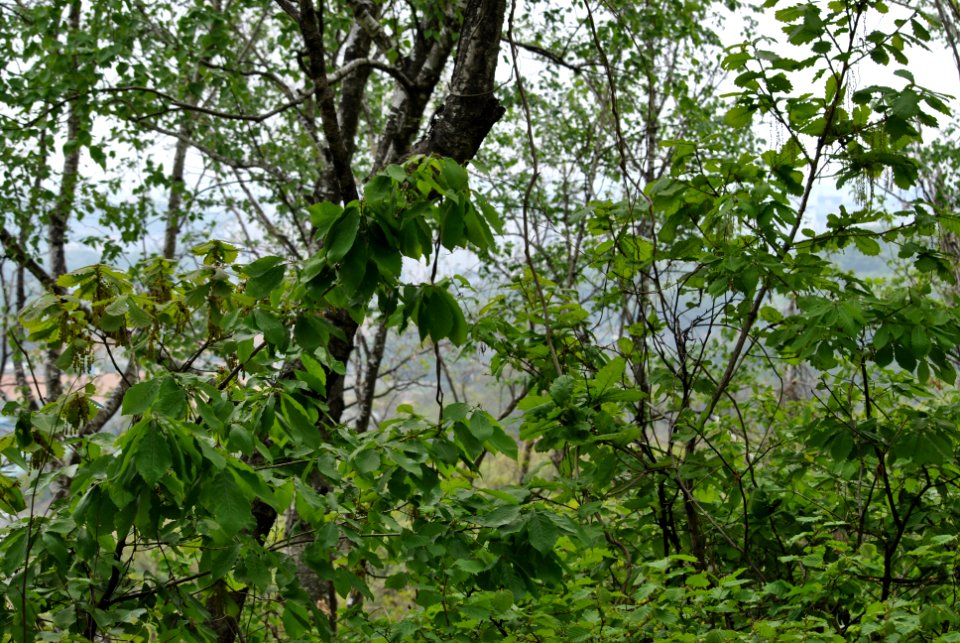 Bukhansan National Park