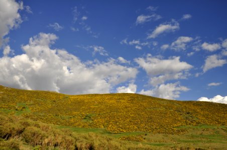 Yellow blue white photo