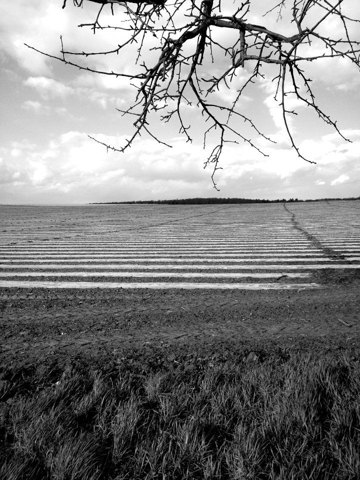 Landschaft bei Hohenwettersbach