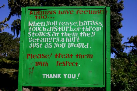 Animals have feelings too.., Simien Mountains National Park, Ethiopian Highlands
