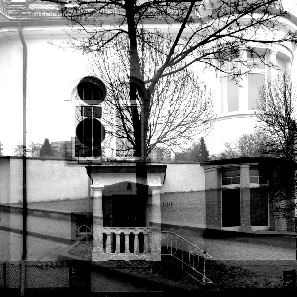 bepflanzt