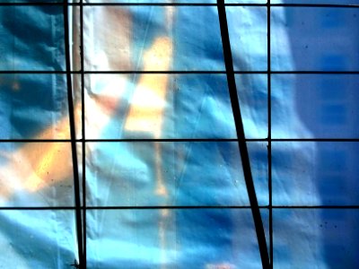 WP 20141006 014