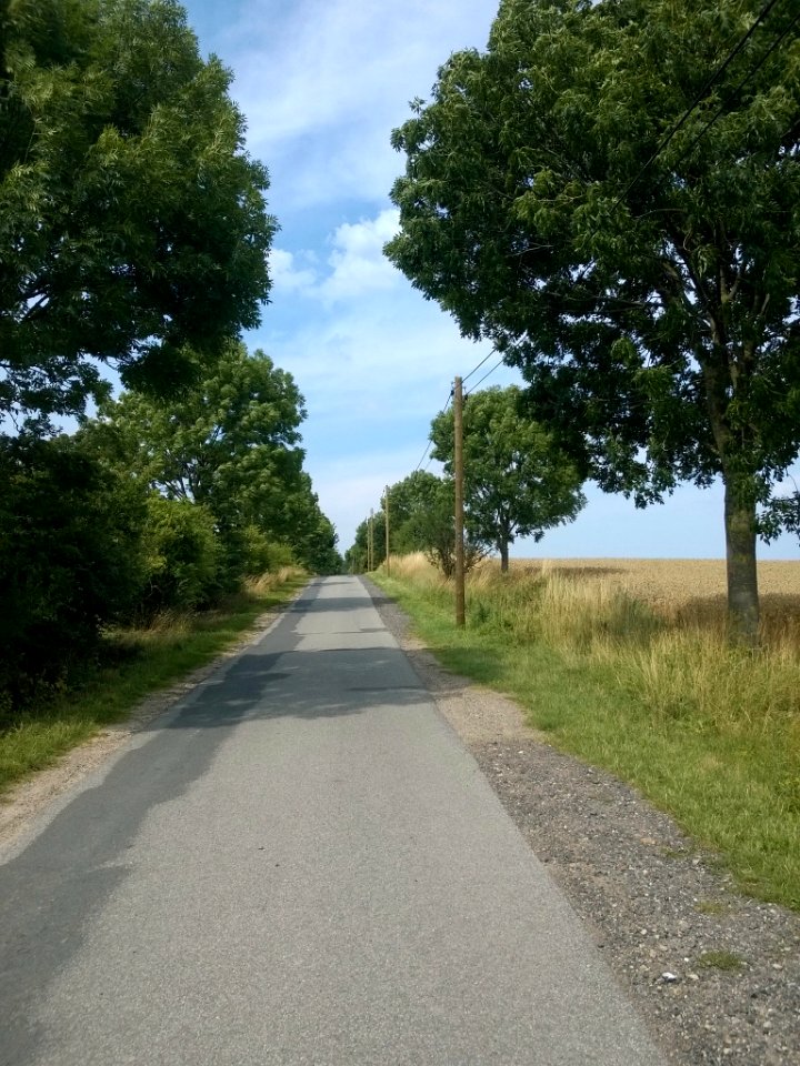 Landschaft bei Feldhusen